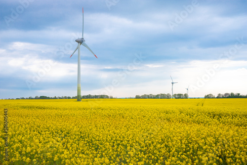 Blooming rapeseed field and wind power turbines during sunny day