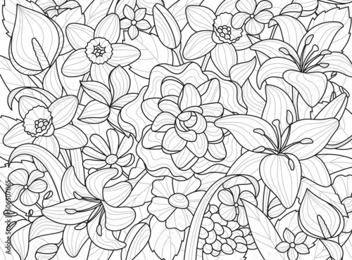 Design for coloring book. Beautiful wildflowers, lilies, roses and daisies on whole screen. Antistress or entertainment for adults and children. Cartoon flat vector illustration in linear style