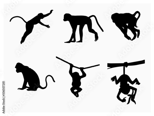 Set of Monkey Design Vector. Silhouette of Illustration Stock Vector for Free EPS photo