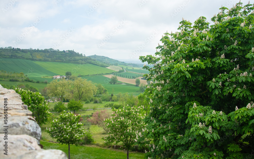 Beautiful view to the French fields in Lautrec, France