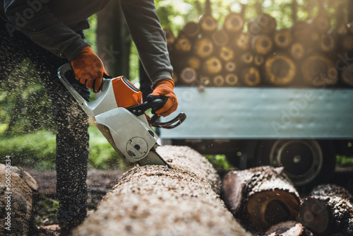 Fotografía Chainsaw