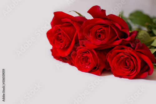 Five red roses lie on white table. Scarlet roses on grey background. Romantic postcard. St. Valentine s Day. Place for text
