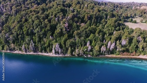 Patagonia landscape. Aerial view of the pine trees forest, and turquoise Correntoso lake in Villa la Angostura, Neuquén, Argentina.  photo