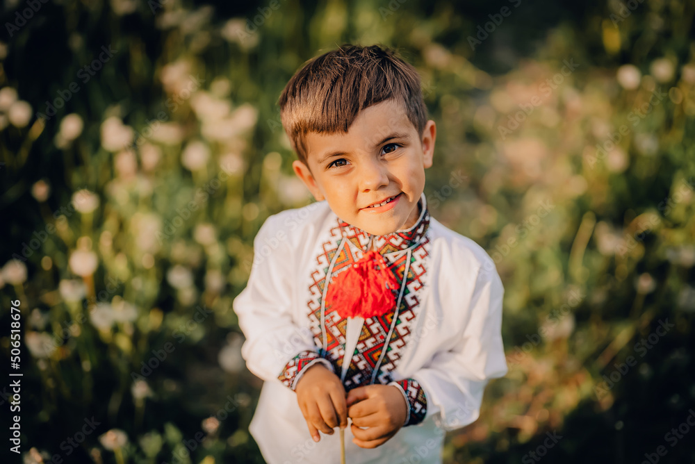 Beautiful portrait of little ukrainian boy in dandelions garden. Child in traditional embroidery vyshyvanka shirt. Ukraine, national costume, victory in war, happy childhood and future concept Beautiful portrait of little ukrainian boy in dandelions garden. Child in traditional embroidery vyshyvanka shirt. Ukraine, national costume, victory in war, happy childhood and future concept