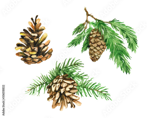 Vector set of pine and spruce needles and cones, branch with greens. Watercolor hand drawn illustration