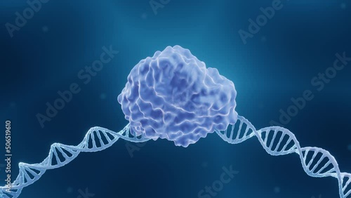 CRISPR or Endonuclease enzyme cutting DNA photo