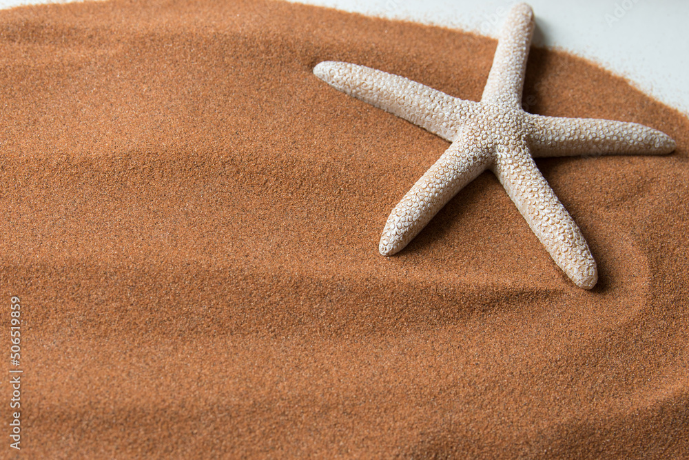 Background with copy space, beach sand and a starfish. Background with copy space, beach sand and a starfish.