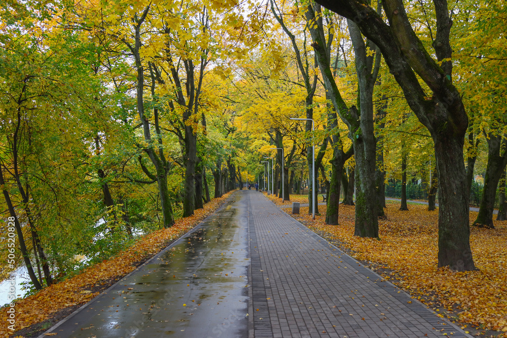 City park in autumn.