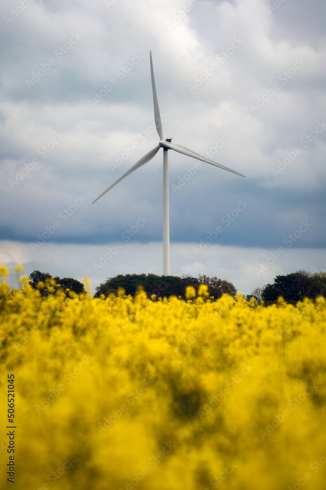 Wind turbine with dramatic sky and canola field on the Swedish countryside in Skane, Sweden. Selective focus. Wind turbine with dramatic sky and canola field on the Swedish countryside in Skane, Sweden. Selective focus.