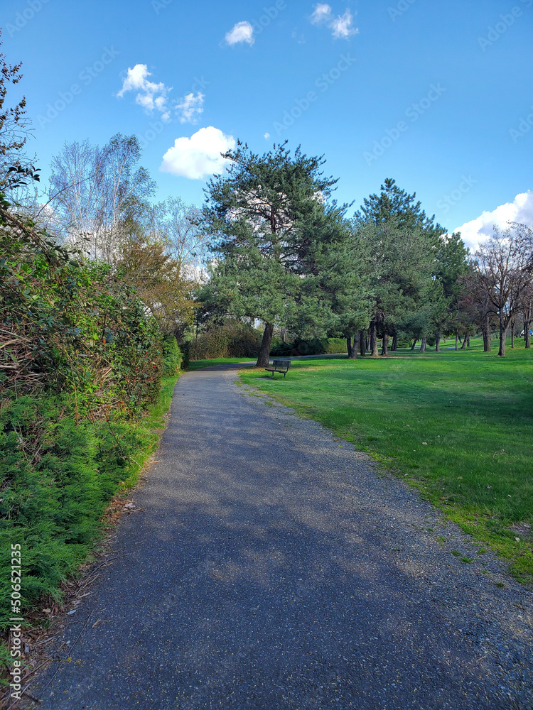 Fototapeta premium path in the park with blue sky