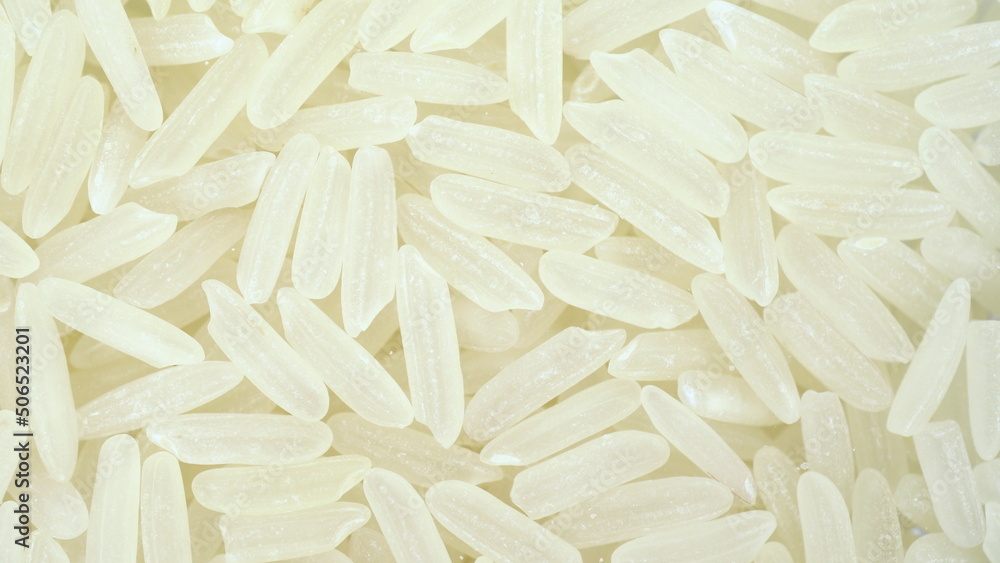 Obraz premium Rice falls on the glass on a bright white background. Macro bottom view of rice.