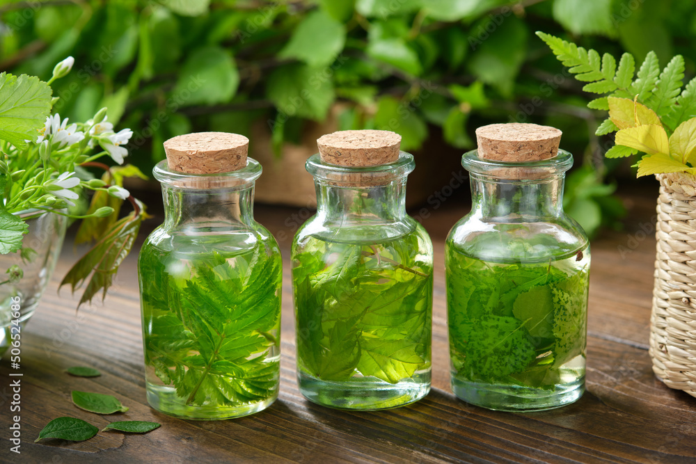 Bottles of essential oil or infusion of medicinal herbs, medicinal healing plants. Alternative herbal medicine. Bottles of essential oil or infusion of medicinal herbs, medicinal healing plants. Alternative herbal medicine.