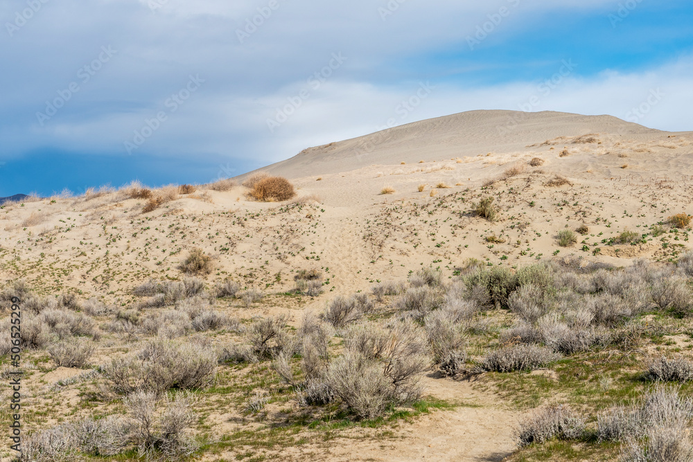 trail through sand dunes