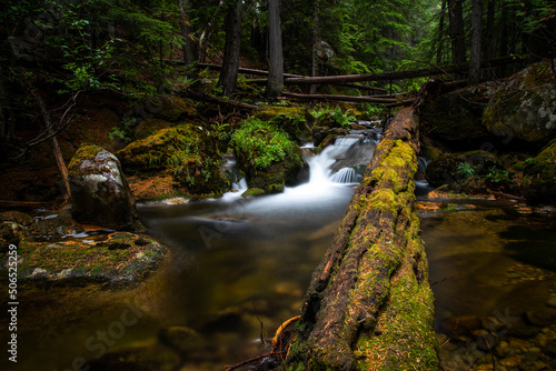Fotografia beautiful creek in forest