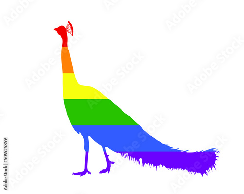 Animal peacock symbol LGBT flag vector silhouette illustration, pride badge sign isolated. Gay flag culture bird sign. Homosexual pride. Lesbian sign. Trans sexual human rights freedom. Urban culture.