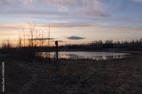 A Beautiful Sunset at Pylypow Wetlands