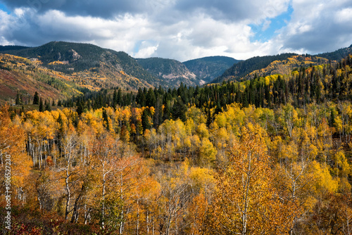 Fall color at Buffalo Pass in Steamboat Springs, Colorado © Melissa Woolf