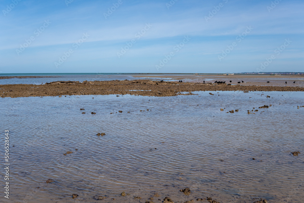 Ocean at low tide showing corals, rocks and small fishing boats in Bahia, Brazil, South America, Atlantic Ocean Ocean at low tide showing corals, rocks and small fishing boats in Bahia, Brazil, South America, Atlantic Ocean
