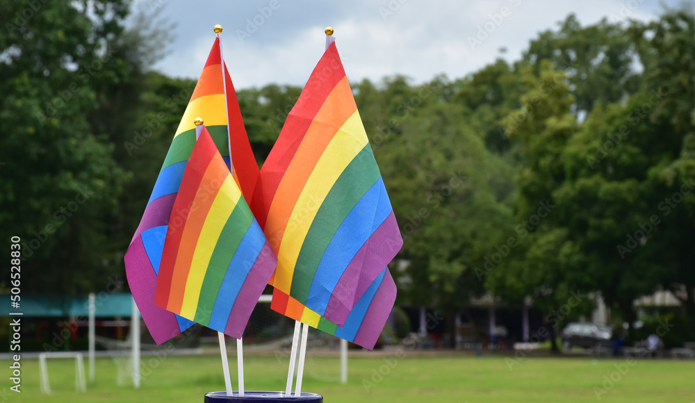 Rainbow flags, symbol of lgbt gender diversity, showing in front of grass court of school playground, blurred building background, concept for lgbt celebrations in pride month, june, over the world.