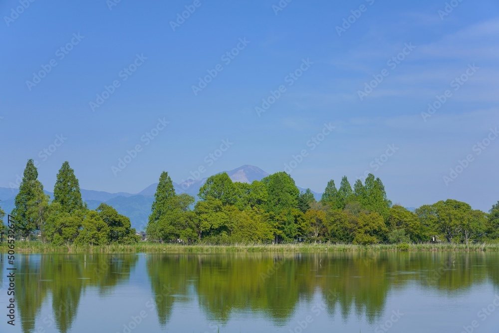 Fototapeta premium 新緑に包まれた公園から見る伊吹山の情景＠滋賀