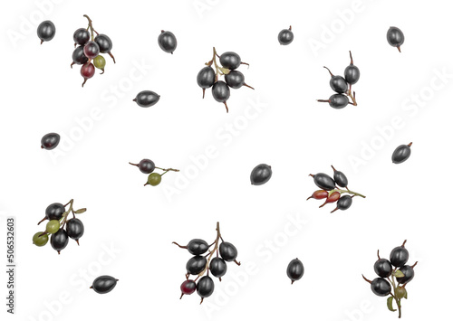 Berries of black currants isolated on white background. © juliamikhaylova