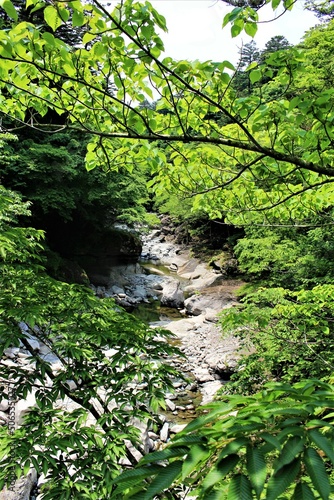 栃木県塩原渓谷（初夏の箒川）