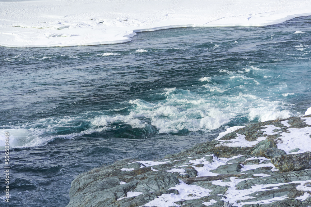 Fototapeta premium Blue winter river flows between ice floes. Arctic landscape on sunny day. Water boils and forms ripples on sea.