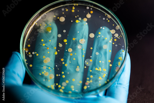 Photos Backgrounds of Characteristics and Different shaped Colony of Bacteria and Mold growing on agar plates from Soil samples for education in Microbiology laboratory