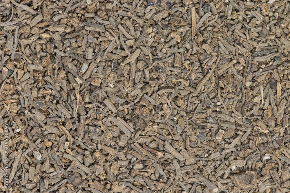 Dried Valerian root pieces (Valeriana officinalis), closeup background image. Traditional medicinal herb also used as a cat attractant. Dried Valerian root pieces (Valeriana officinalis), closeup background image. Traditional medicinal herb also used as a cat attractant.