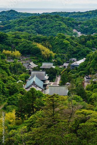 建長寺と鎌倉の新緑