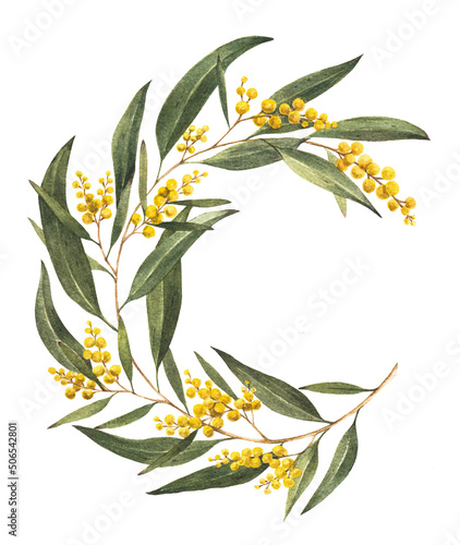 Golden Wattle (Acacia pycnantha) is Australia's national flower
