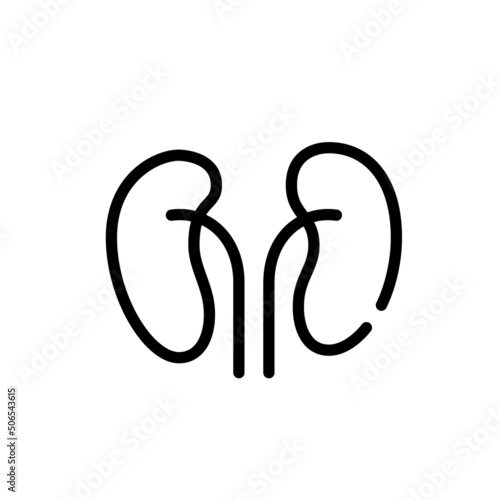 Human kidneys. Internal organ anatomy icon. Pixel perfect, editable stroke line 