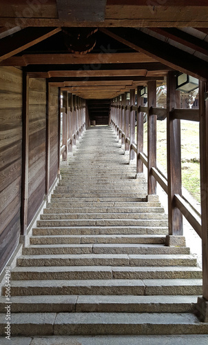 Stone stairs in a shrine   Japan