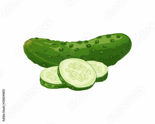 Green cucumber. Image of a ripe sliced green cucumber. Green vegetarian product. Vector illustration isolated on a white background