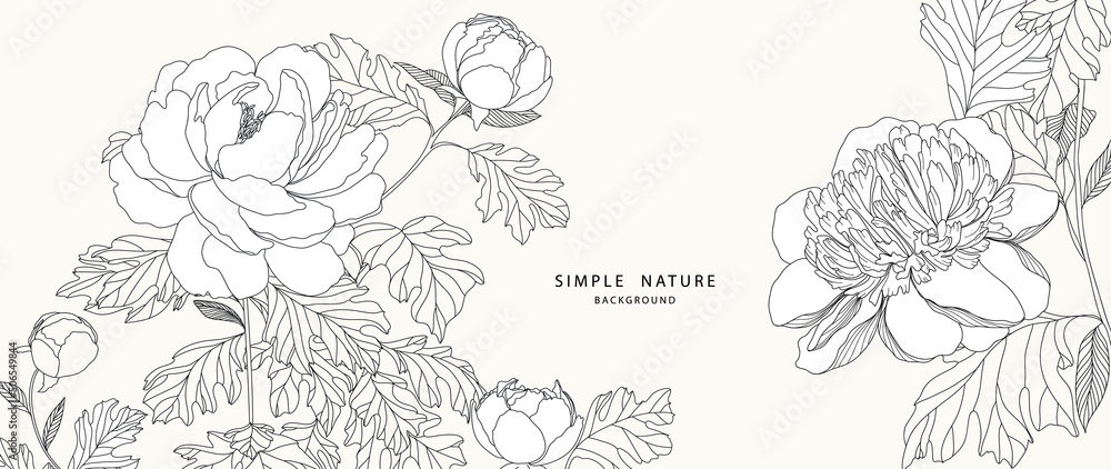 Luxury peony flower background vector with simple line decorate wall art Luxury peony flower background vector with simple line decorate wall art