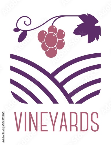 Vineyards winemaking and production of wine vector