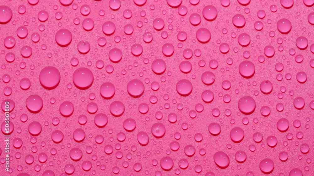 Close-up transparent water drops texture rotating on pink abstract background
