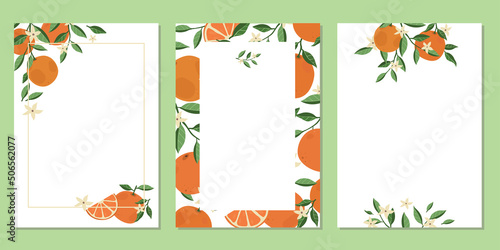 Frame set with mandarins or oranges on white background. Design for cards, party invitation, business advertisement and promotion. Vector hand drawn cartoon style illustration