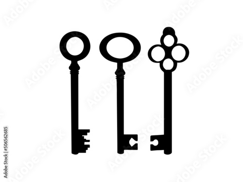 Black key vector image.Key icon vector image.Key line icon vector image. icon vector i