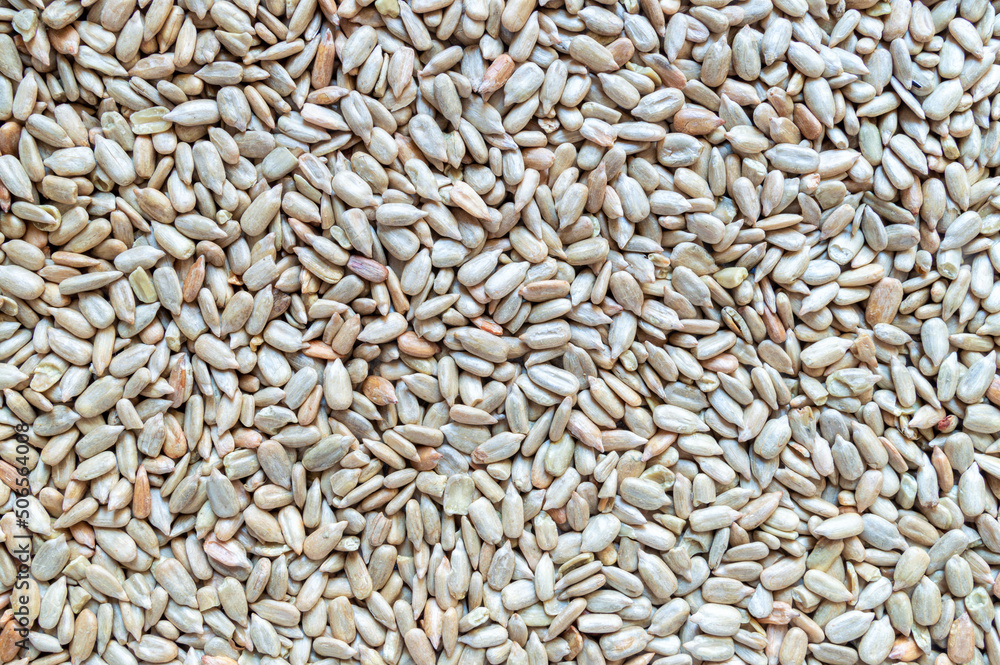 texture of peeled sunflower seeds texture of peeled sunflower seeds