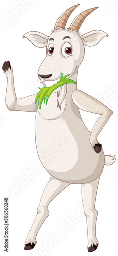 White goat standing on two legs