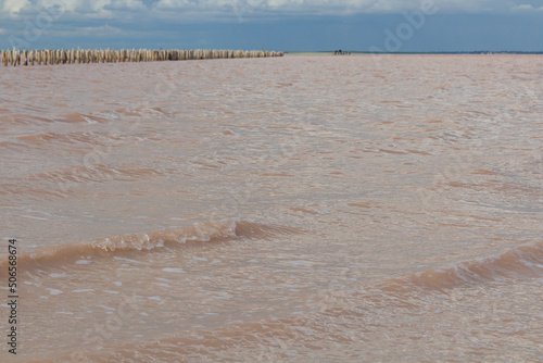 Brine and salt of a pink lake, colored by microalgae Dunaliella salina, famous for its antioxidant properties, enriching water by beta-carotene, used in medicine, dermatology and spa photo