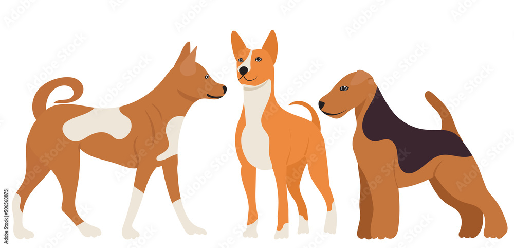 dogs flat design, isolated, vector dogs flat design, isolated, vector