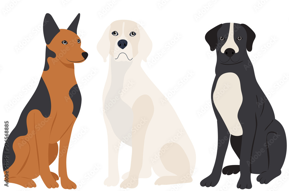 dogs sitting flat design, isolated, vector