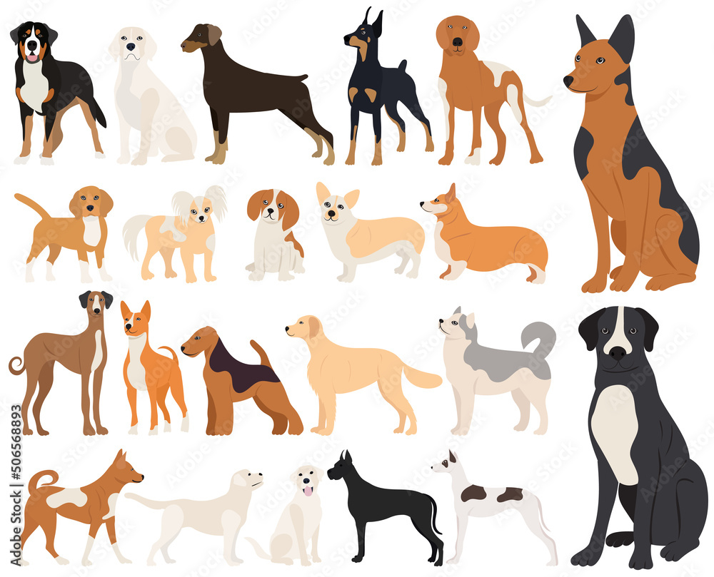 dogs of different breeds set flat design, isolated, vector