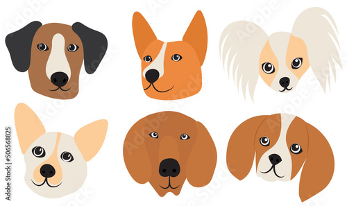 dogs of different breeds set portrait flat design, , isolated, vector