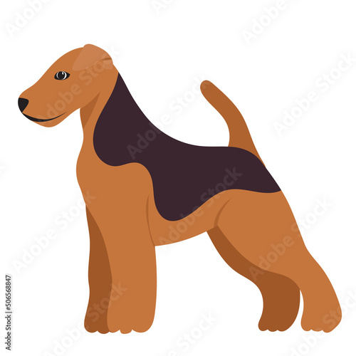 dog standing flat design  isolated  vector