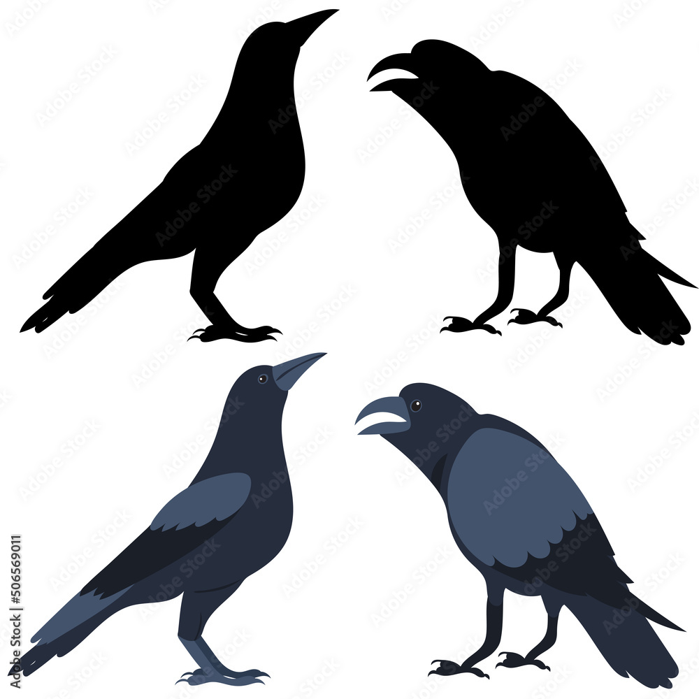 Obraz premium crows in flat design isolated