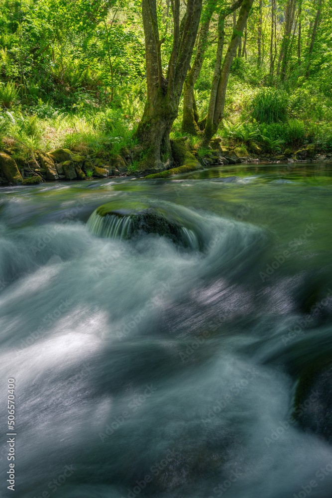 The water of a river flows over the rocks and under centuries old oak trees The water of a river flows over the rocks and under centuries old oak trees
