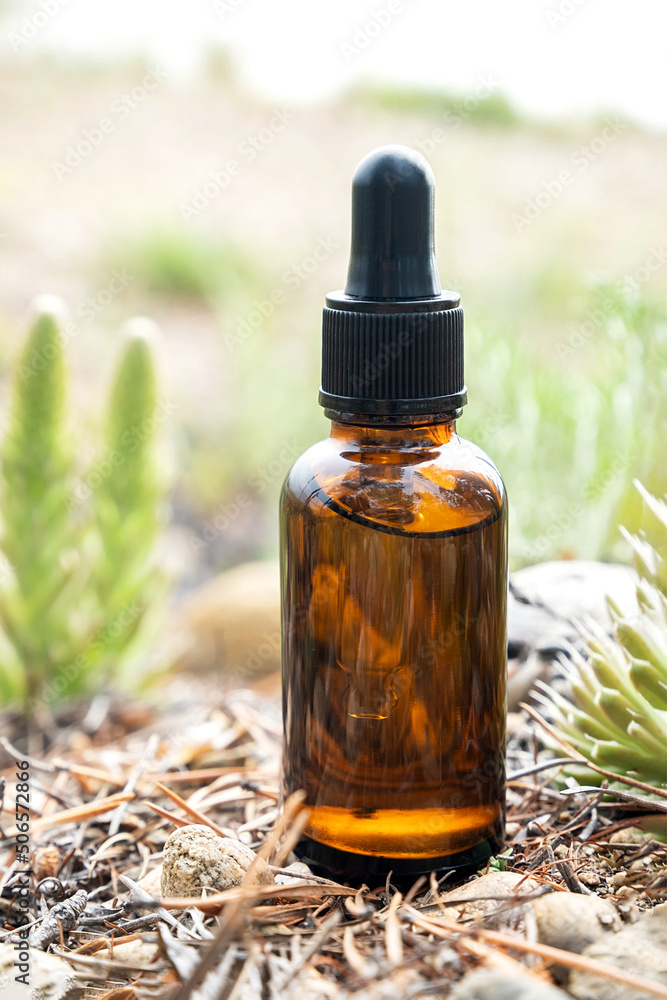 One brown glass dropper bottle with serum, essential oil or other cosmetic product outdoors. Natural Organic Spa Cosmetic Beauty concept One brown glass dropper bottle with serum, essential oil or other cosmetic product outdoors. Natural Organic Spa Cosmetic Beauty concept